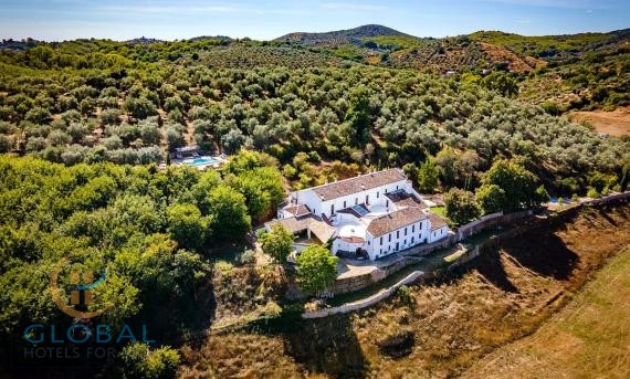 Luxurious Andalusian Country House with apartments