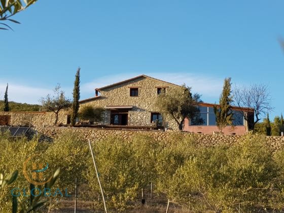 B&B Finca in a rural setting with olive oil production – ideal for a Yoga retreat or Wellness