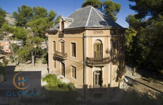 A 19th century Manor House ideal for a boutique hotel in the old town ( 35 min from Alicante & beach)