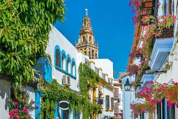 Boutique hotel under construction in the center of Cordoba with 10 % yield