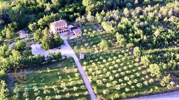 B&B in the middle of a Olive grove and with option of a caravan park, Priorat region